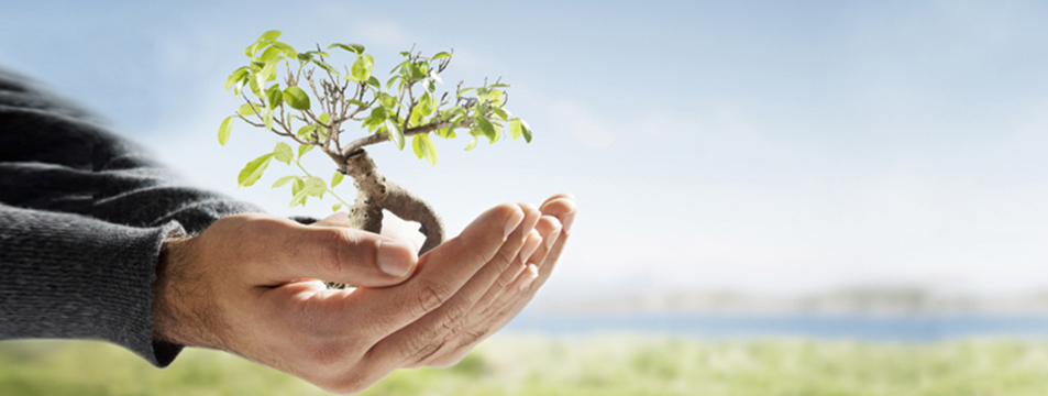 about - earth infrastructures